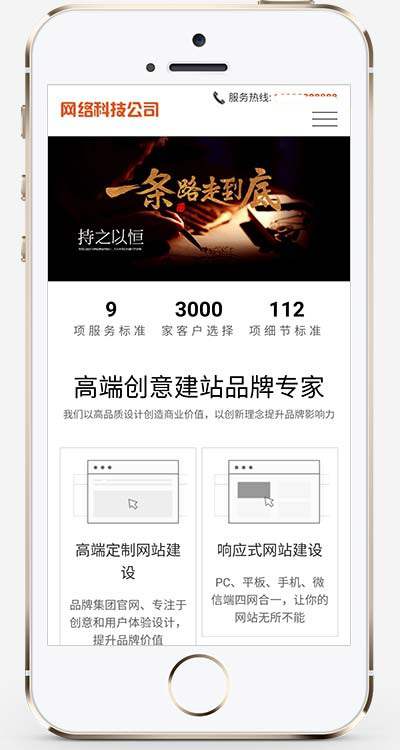网络公司网站建设网络推广 网络公司制作网站
