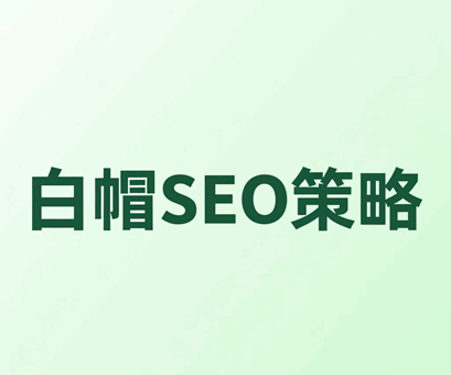 1765183255123240.png 白帽SEO策略