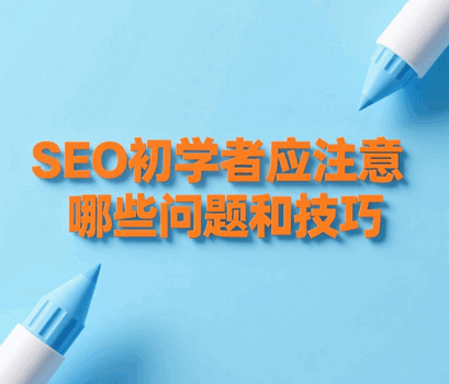 1765308664936071.png SEO初学者需要注意哪些问题和技巧呢