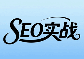 seo实战技巧