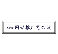 新手做seo网站推广怎么做